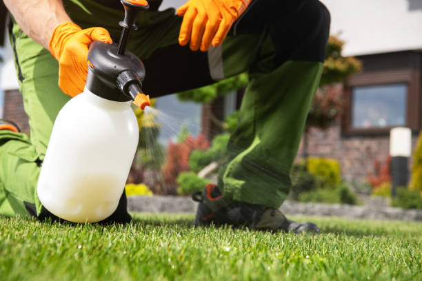 Best Emergency Pest Control  in West Chicago, IL
