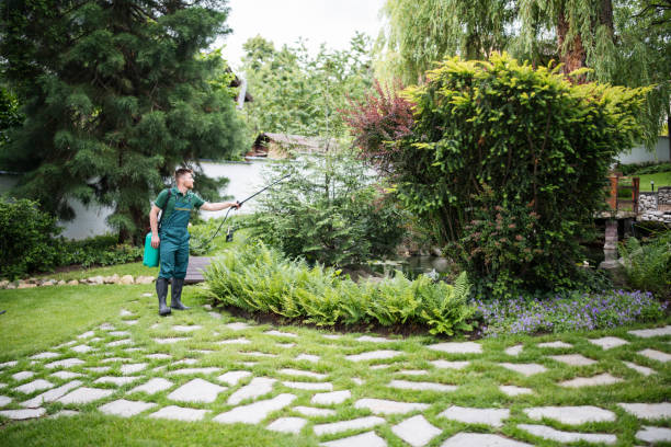 Best Emergency Pest Control  in West Chicago, IL