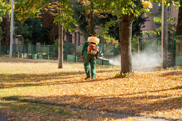 Best Flea Control Services  in West Chicago, IL