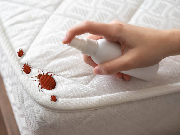 Best Affordable Pest Control Services  in West Chicago, IL