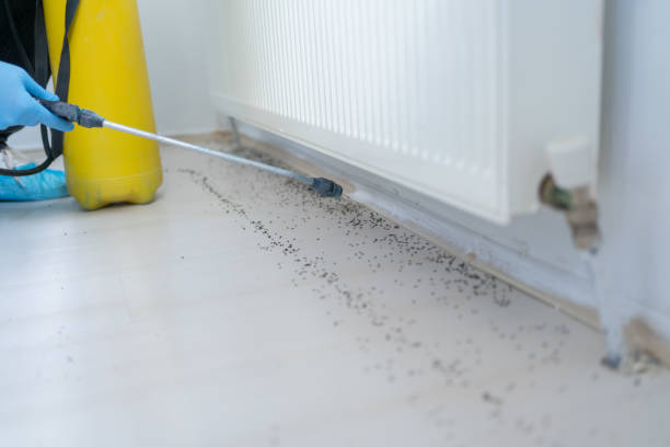 Best Best Pest Control Companies  in West Chicago, IL