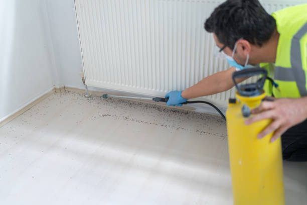 Pest Control Cost in West Chicago, IL